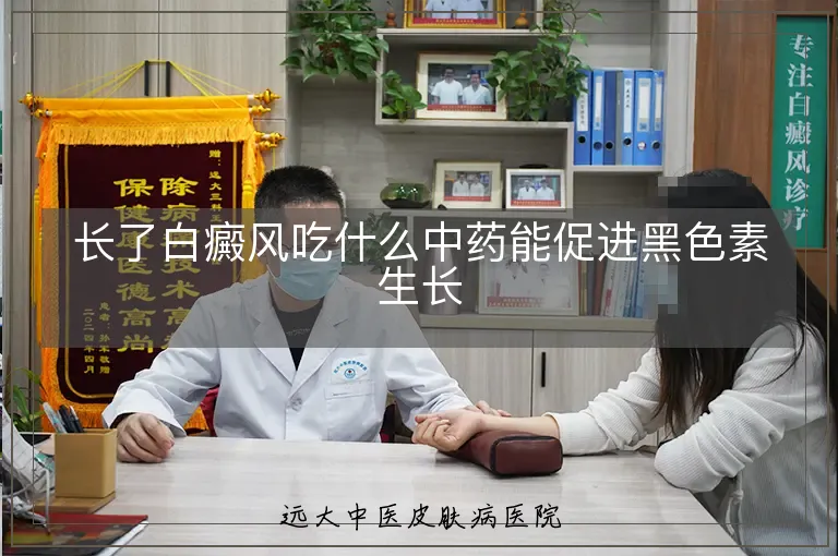 长了白癜风吃什么中药能促进黑色素生长