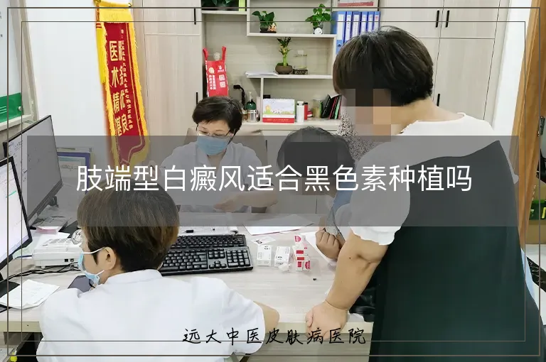 肢端型白癜风适合黑色素种植吗